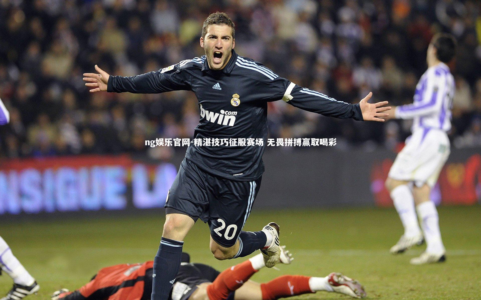 ng娱乐官网-精湛技巧征服赛场 无畏拼搏赢取喝彩